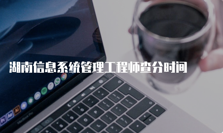 湖南信息系统管理工程师查分时间