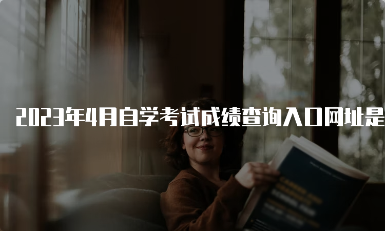 2023年4月自学考试成绩查询入口网址是什么呀