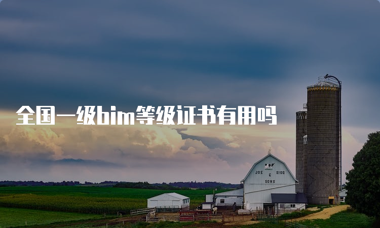 全国一级bim等级证书有用吗