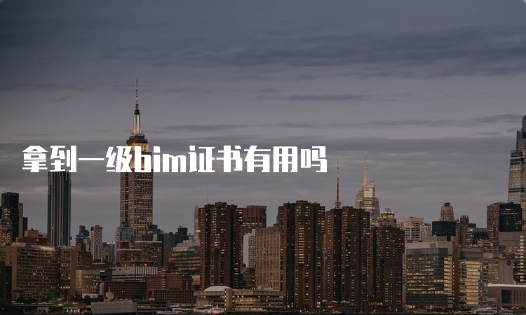 拿到一级bim证书有用吗