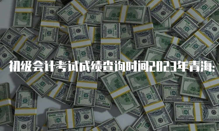 初级会计考试成绩查询时间2023年青海：6月16日前下发