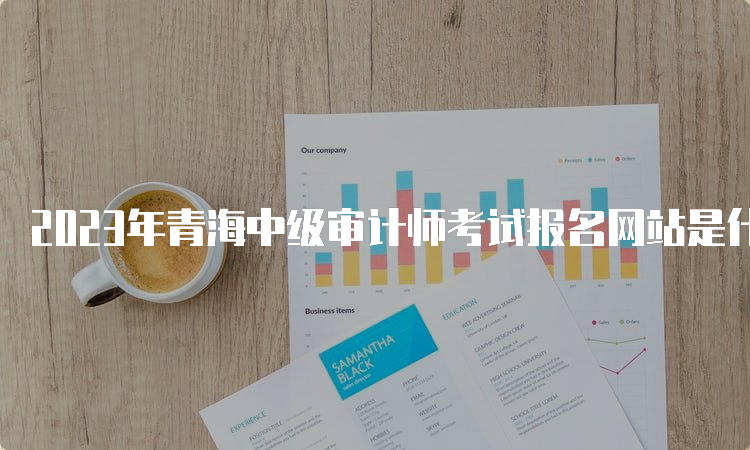 2023年青海中级审计师考试报名网站是什么？