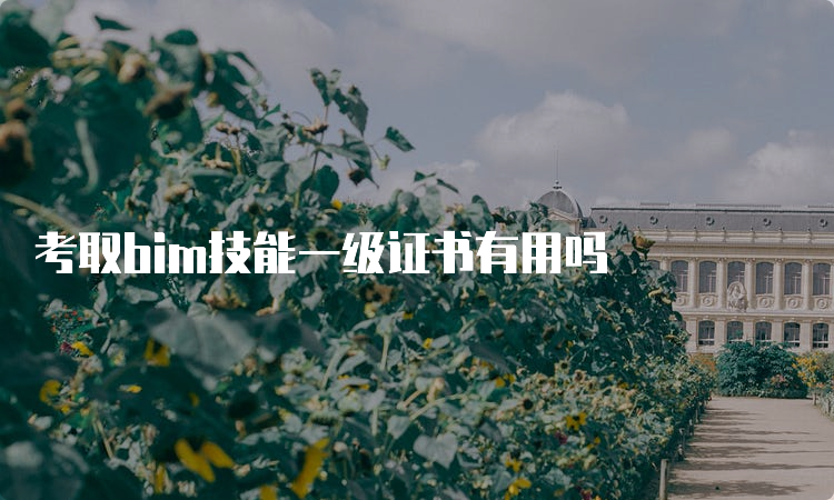 考取bim技能一级证书有用吗