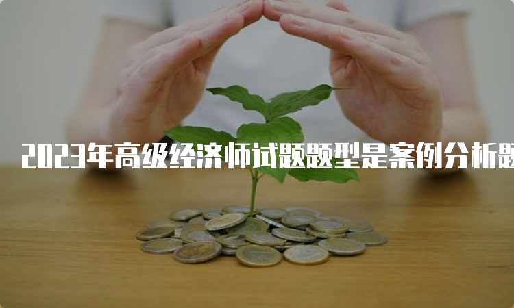 2023年高级经济师试题题型是案例分析题和论述题