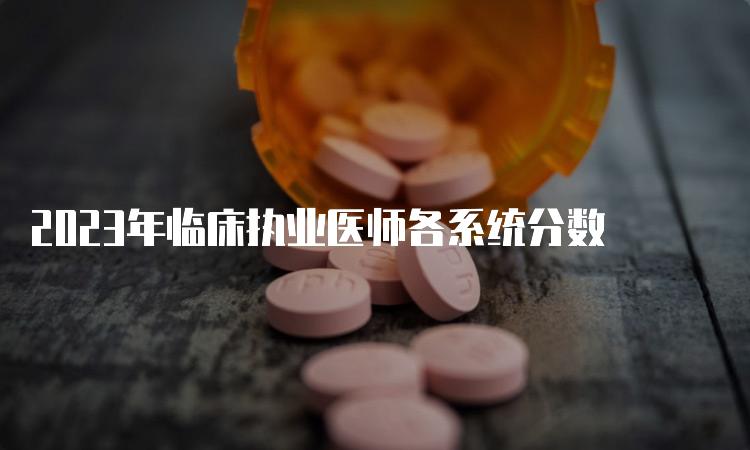 2023年临床执业医师各系统分数