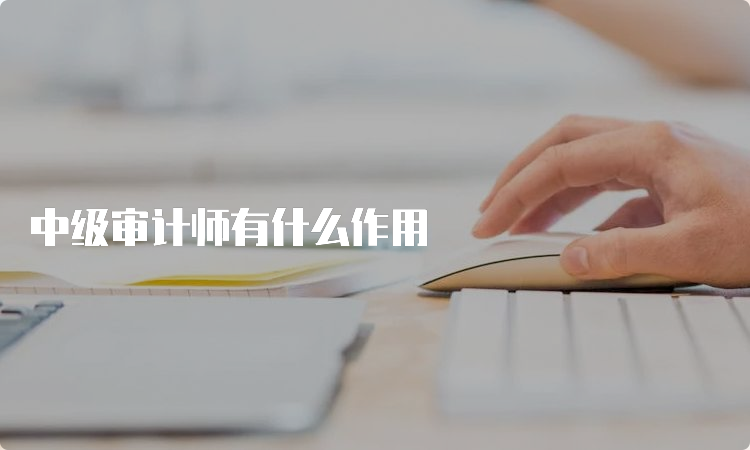 中级审计师有什么作用