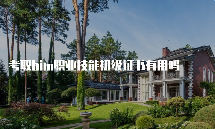 考取bim职业技能初级证书有用吗