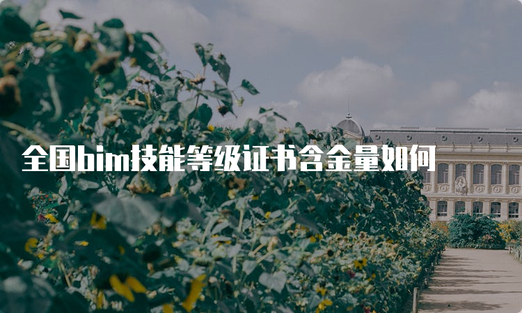 全国bim技能等级证书含金量如何