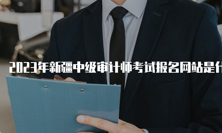 2023年新疆中级审计师考试报名网站是什么