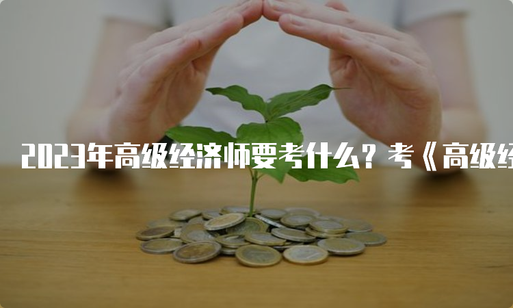 2023年高级经济师要考什么？考《高级经济实务》