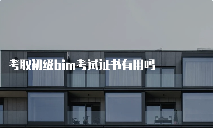 考取初级bim考试证书有用吗