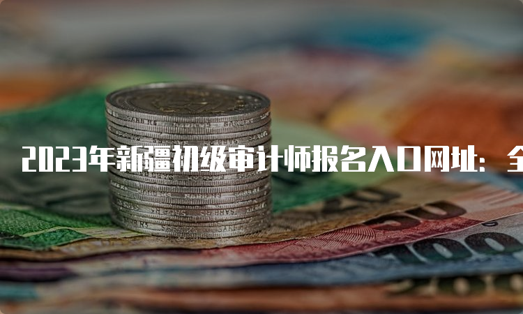 2023年新疆初级审计师报名入口网址：全国专业技术人员资格考试报名服务平台