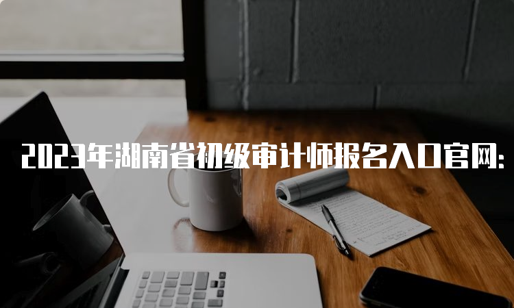 2023年湖南省初级审计师报名入口官网：中国人事考试网