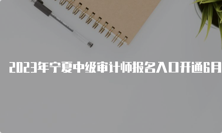 2023年宁夏中级审计师报名入口开通6月19日关闭