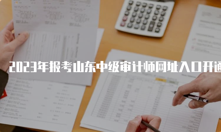 2023年报考山东中级审计师网址入口开通，报名时间为6月9日9∶00—6月19日16∶00