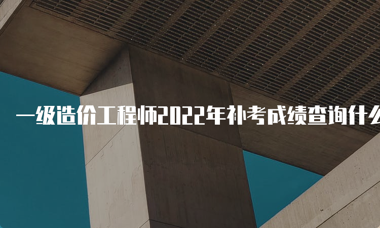 一级造价工程师2022年补考成绩查询什么时候开始