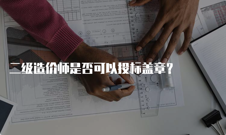 二级造价师是否可以投标盖章？