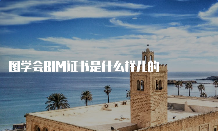 图学会BIM证书是什么样儿的