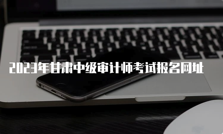 2023年甘肃中级审计师考试报名网址