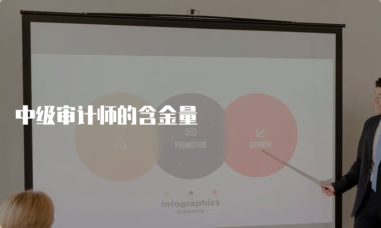 中级审计师的含金量