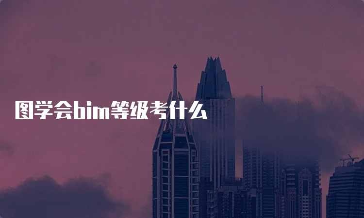 图学会bim等级考什么