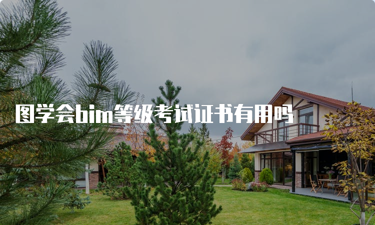 图学会bim等级考试证书有用吗