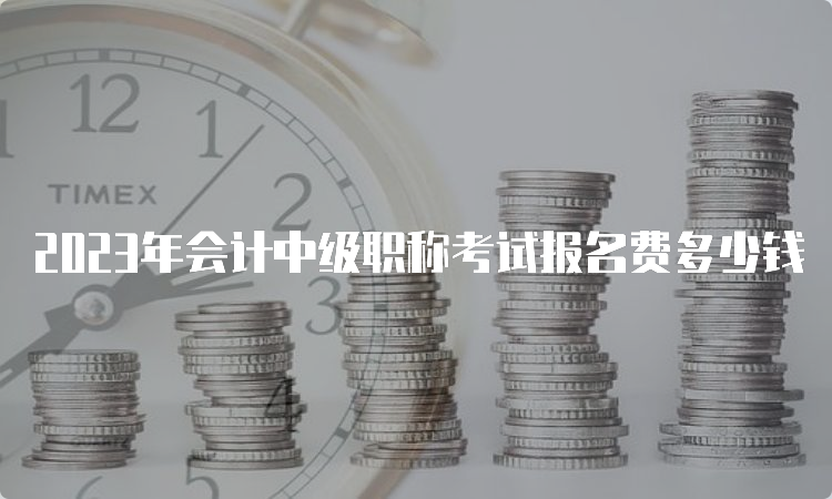 2023年会计中级职称考试报名费多少钱