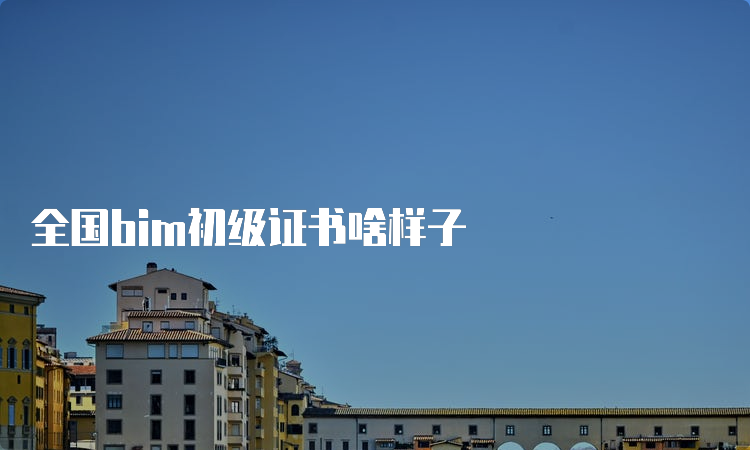 全国bim初级证书啥样子