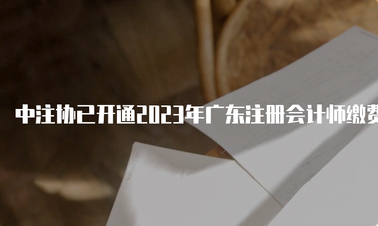 中注协已开通2023年广东注册会计师缴费入口官网