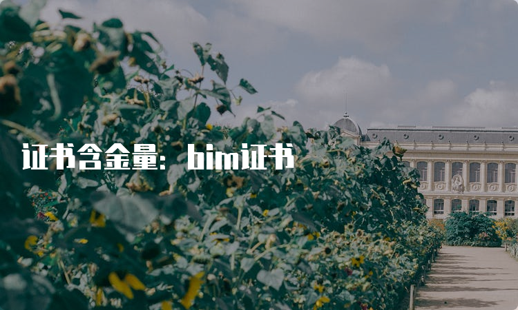 证书含金量：bim证书