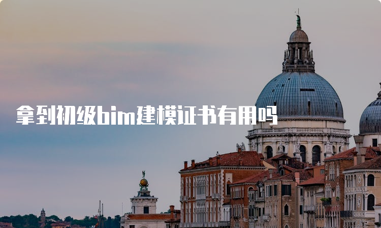 拿到初级bim建模证书有用吗