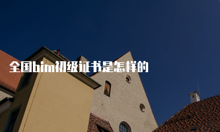 全国bim初级证书是怎样的