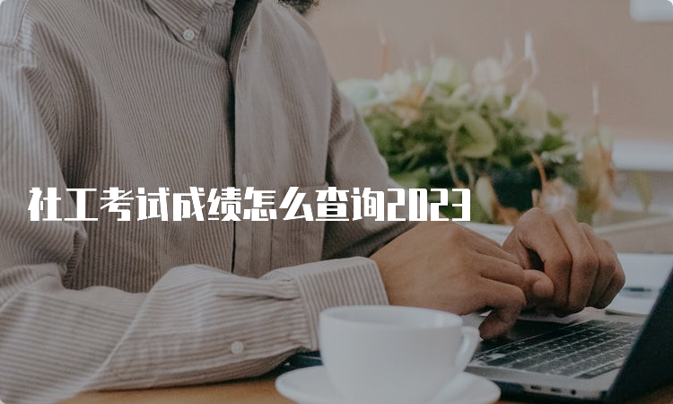 社工考试成绩怎么查询2023