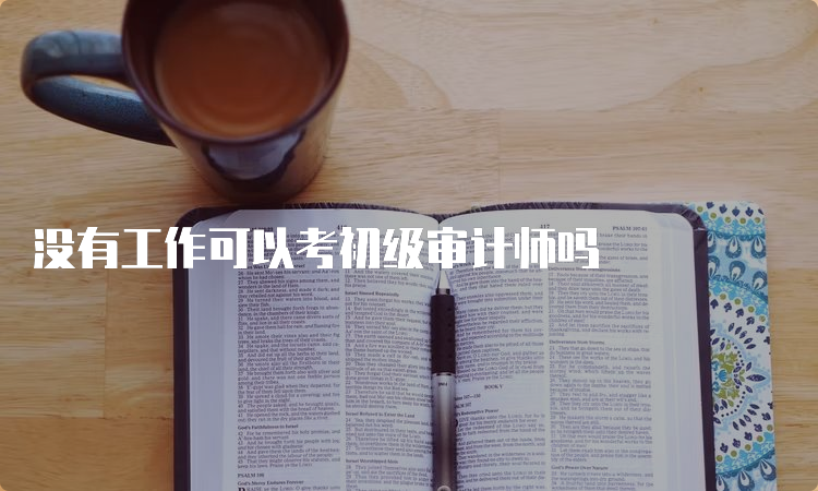 没有工作可以考初级审计师吗