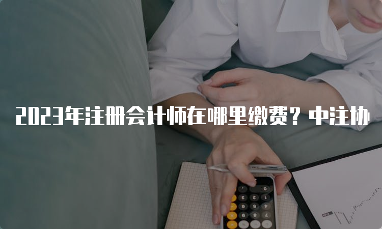 2023年注册会计师在哪里缴费？中注协