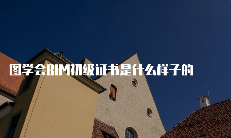 图学会BIM初级证书是什么样子的