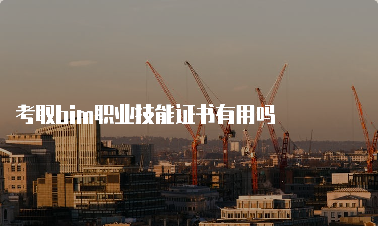 考取bim职业技能证书有用吗