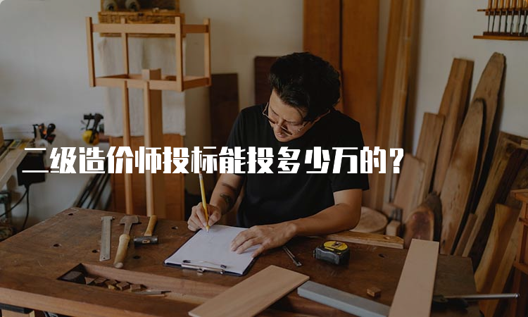 二级造价师投标能投多少万的？