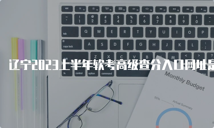 辽宁2023上半年软考高级查分入口网址是什么