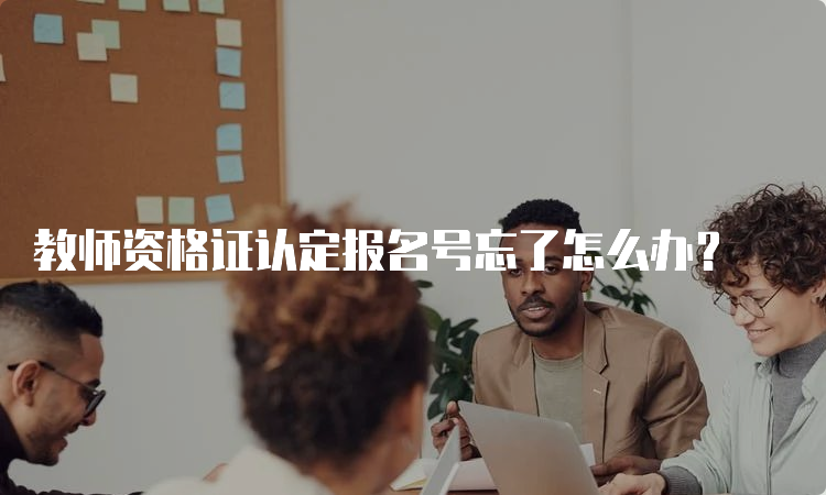 教师资格证认定报名号忘了怎么办？