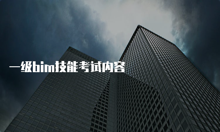 一级bim技能考试内容