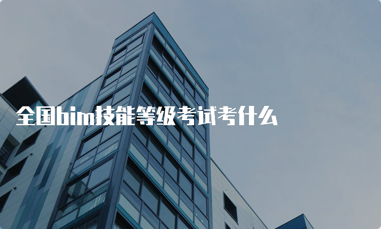 全国bim技能等级考试考什么