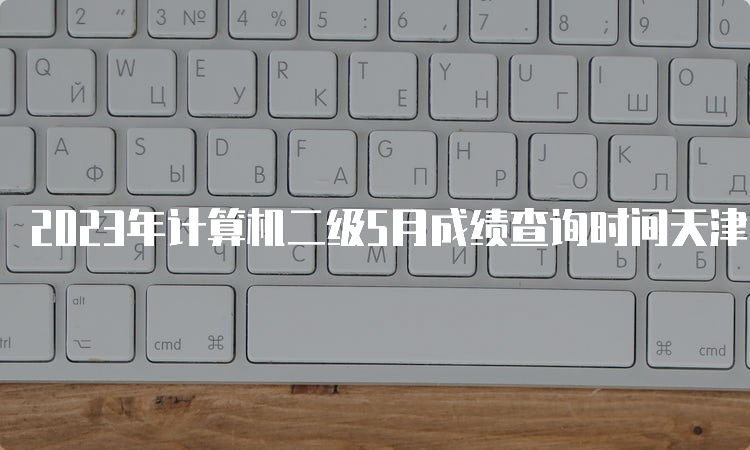 2023年计算机二级5月成绩查询时间天津