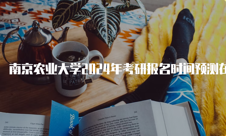 南京农业大学2024年考研报名时间预测在何时呢？10月5日