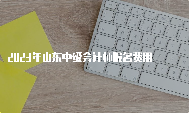 2023年山东中级会计师报名费用