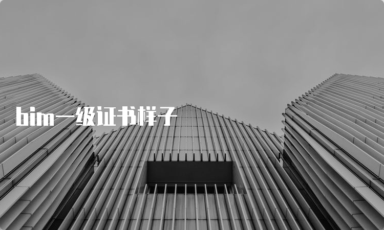 bim一级证书样子