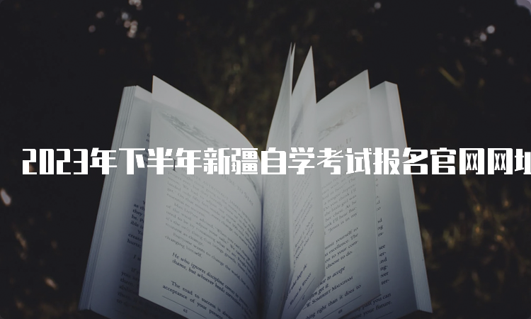 2023年下半年新疆自学考试报名官网网址