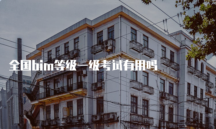 全国bim等级一级考试有用吗