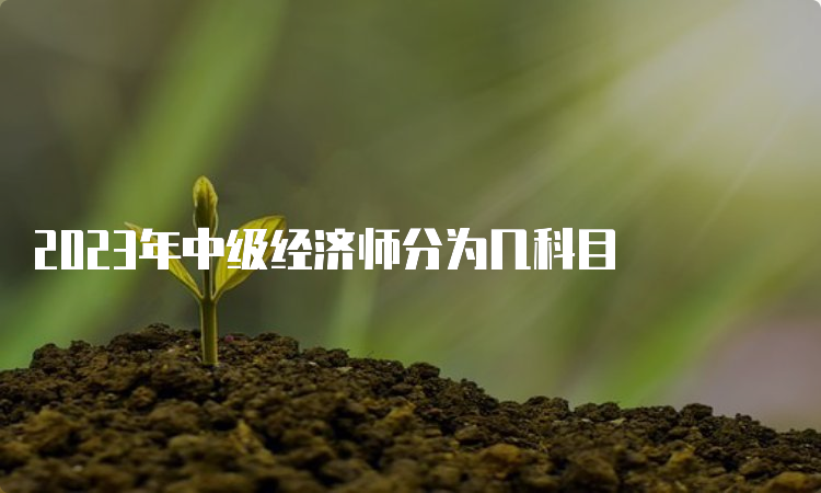 2023年中级经济师分为几科目