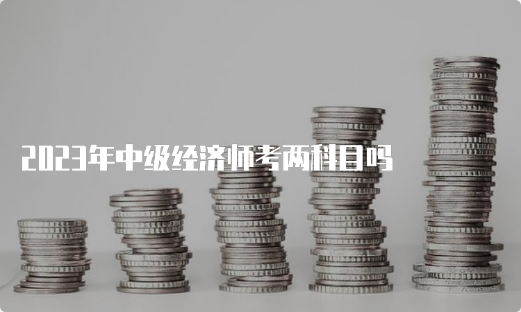 2023年中级经济师考两科目吗